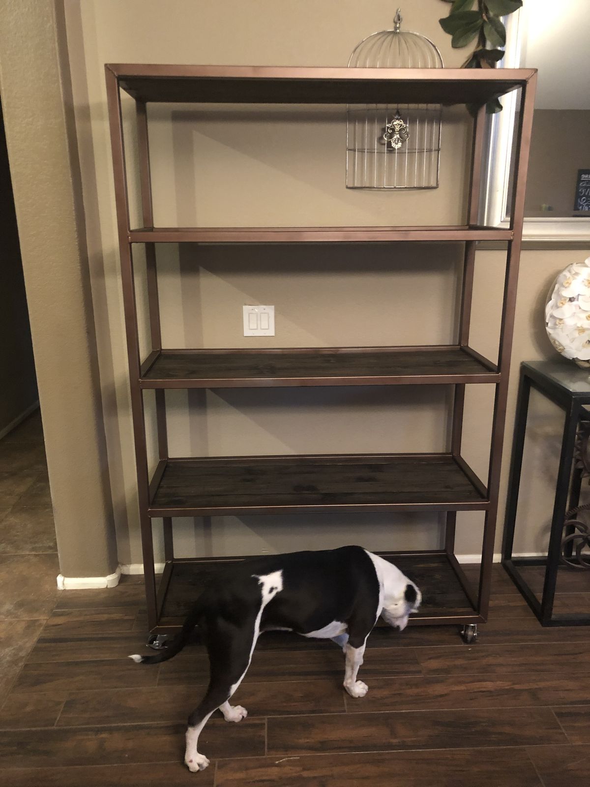 Tall steel bookshelf with dark wood shelves